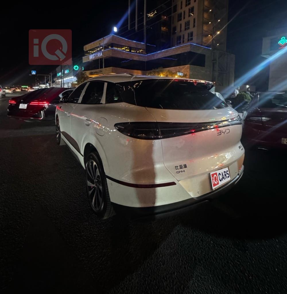 بي واي دي سيليون 06 DM-i